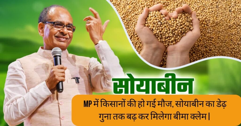 MP News