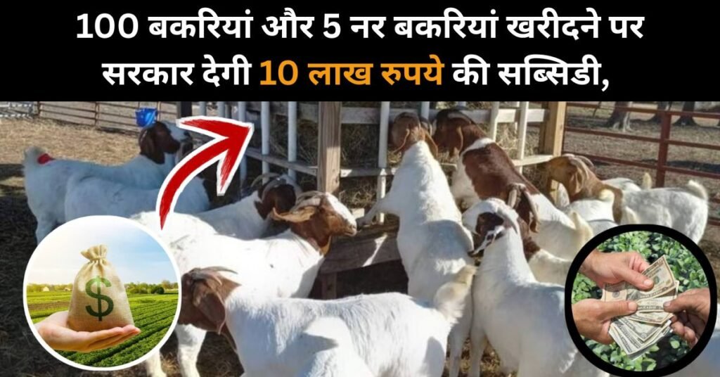 Goat Farming Yojana