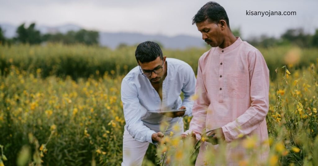 प्रधानमंत्री किसान सम्मान निधि योजना 2025 के तहत किसानों को ₹6000 की आर्थिक सहायता मिलती हुई